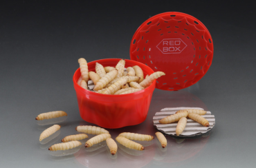Camole Red Box