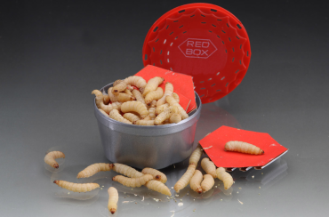 Selezione Disco Rosso