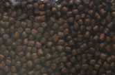 FA00012