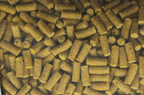 Pellets carpa 8mm. Scopex 20 kg.